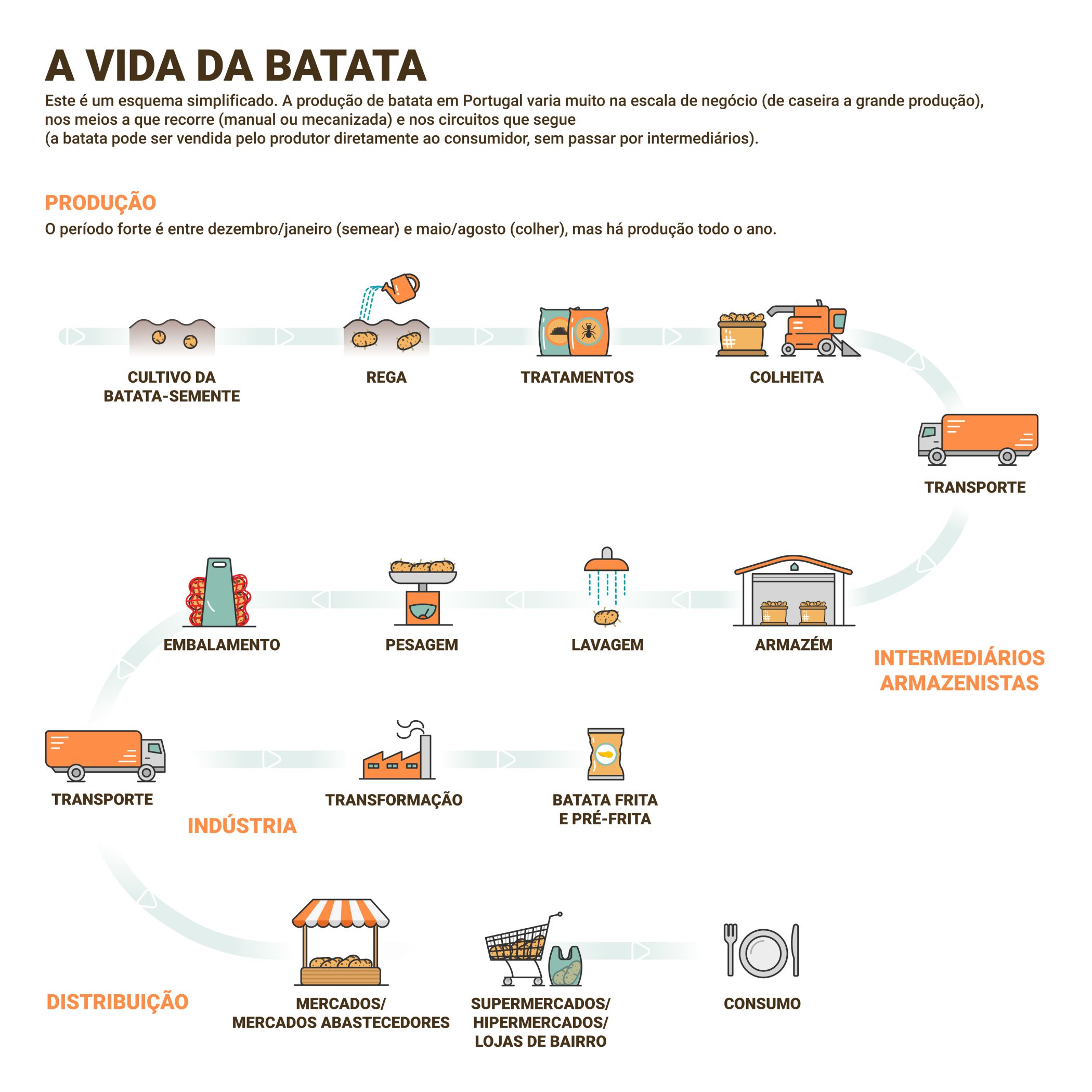 Nova pesquisa sugere que consumo de batata frita pode estar ligado