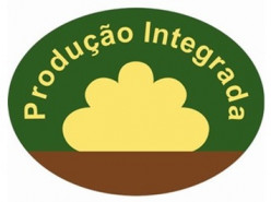 implementacao da PI DICAs LOGO