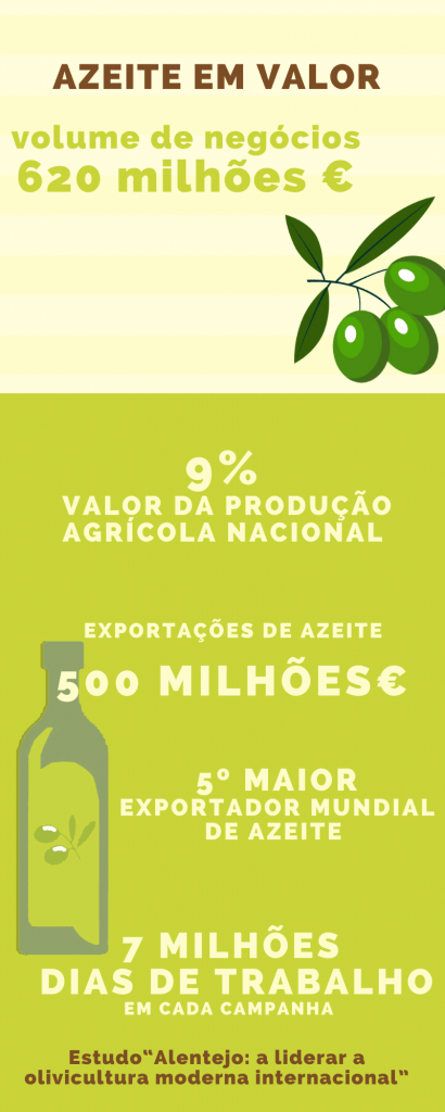 Azeite já representa 9% do valor da produção agrícola nacional