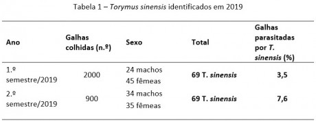 tabela1 torymus sinensis 2019