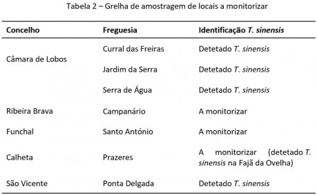 tabela2 grelha amostragem torymus sinensis
