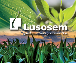 Lusosem