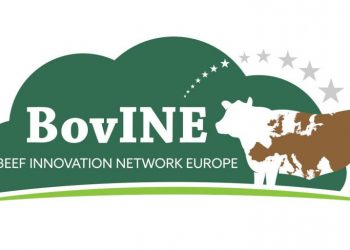 BovINE