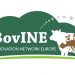 BovINE