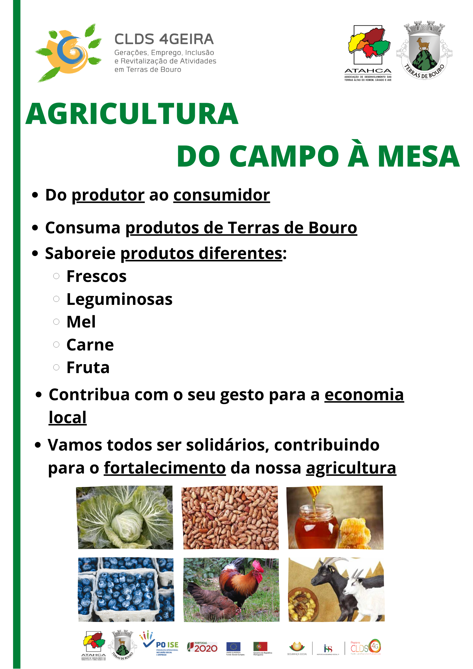 CARTAZ FINAL AGRICULTURA DO CAMPO À MESA