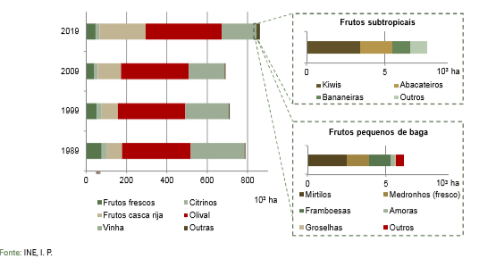 Culturas permanentes (1989-2019