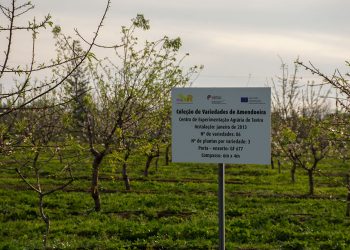 Centro de Experimentação Agrária de Tavira