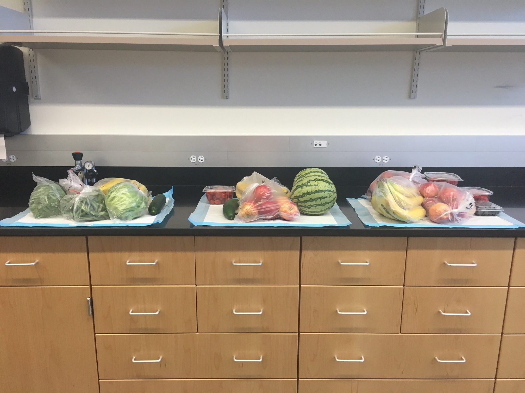 trays of produce on a counter top