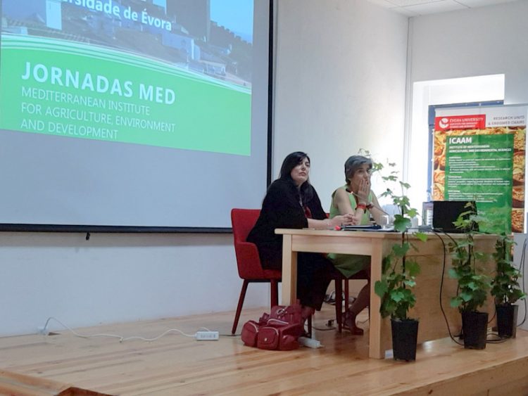 Jornadas MED