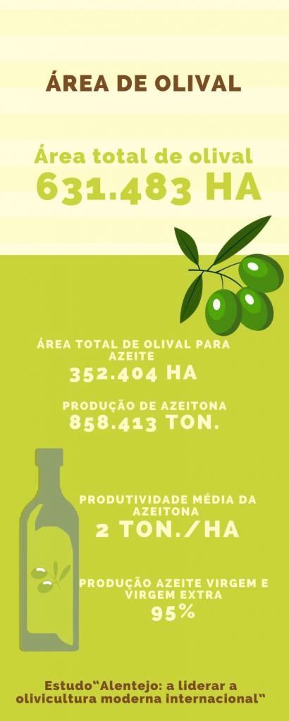 Produtividade da azeitona quadruplicou