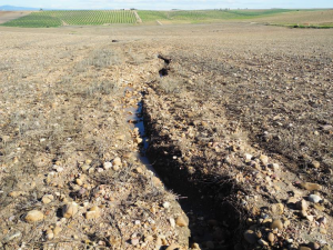 Suelo en la agricultura