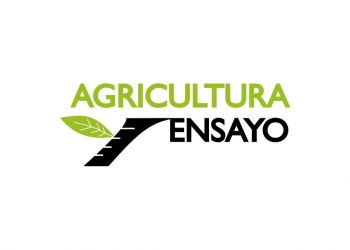 agricultura ensaio