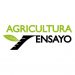 agricultura ensaio