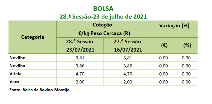 cotação bovinos w29