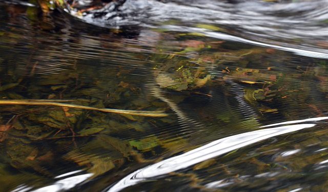 water