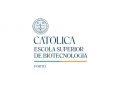 universidade catolica