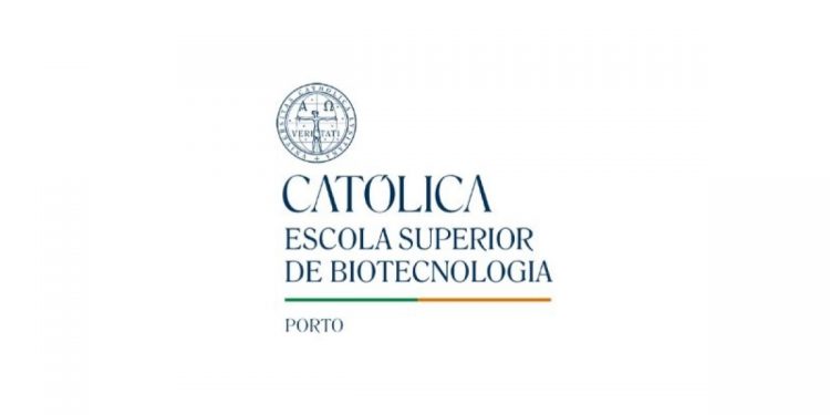 universidade catolica