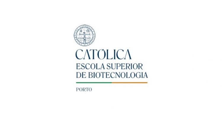 universidade catolica