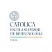 universidade catolica