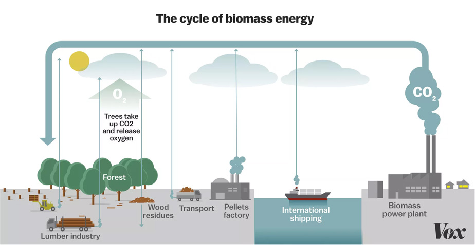Energia renovável marinha explicada pelo projeto INOVSEA