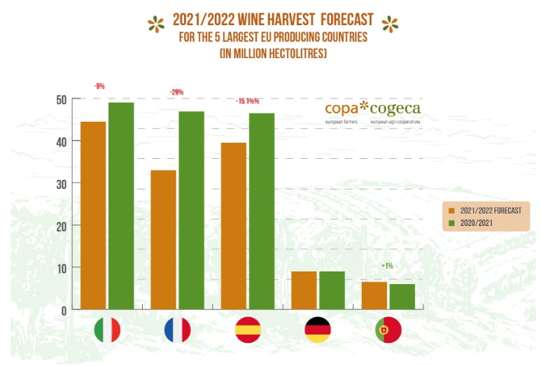 wine forecast europe