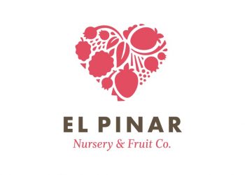 el pinar