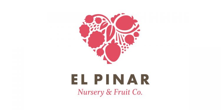 el pinar