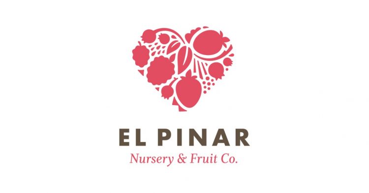 el pinar