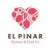 el pinar