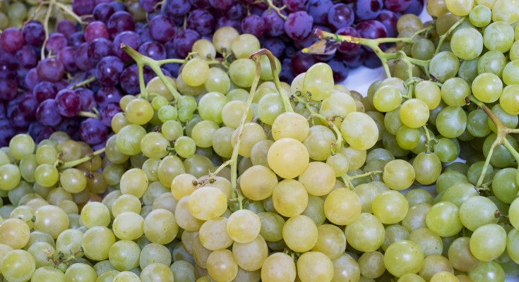 uvas