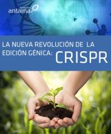 Guia CRISPR Antama