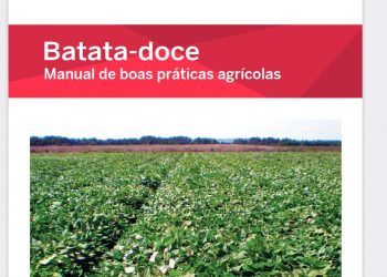 manual batata doce