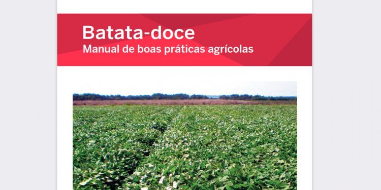 manual batata doce