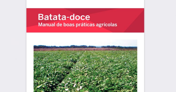 manual batata doce