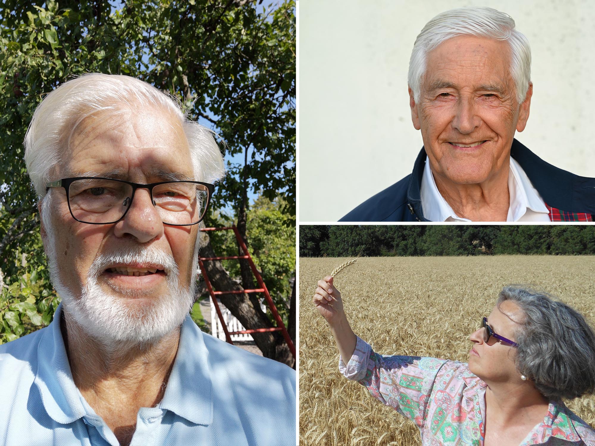 Clockwise from top left: Professor Jan-Olof Drangert, Professor Daniel Nahon, and Dr Helena Gomez Macpherson. Image credit - Professor Jan-Olof Drangert, Professor Daniel Nahon, L. Mateos 