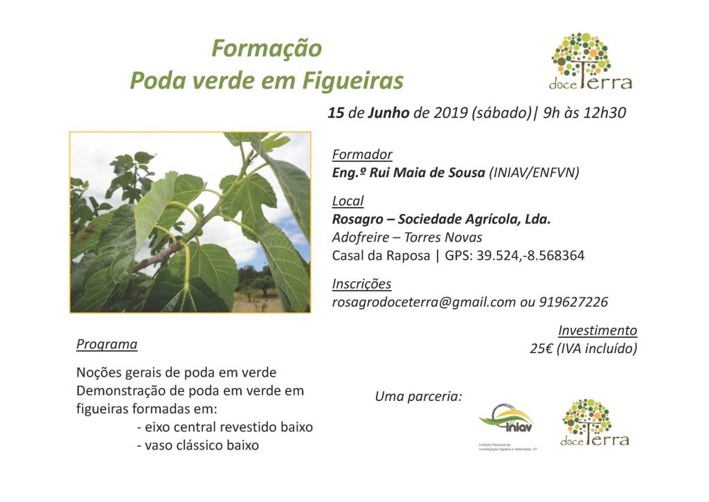 Poda verde Figueiras