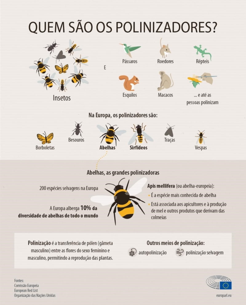 Porque estão a desaparecer as abelhas e os polinizadores?
