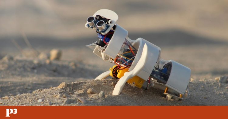 robot publico