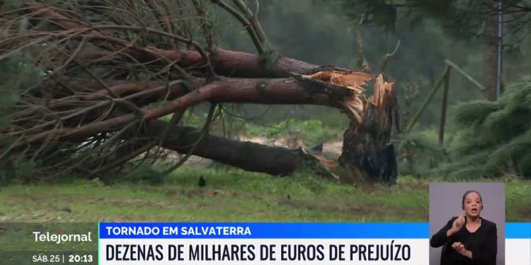 salvaterra de magos