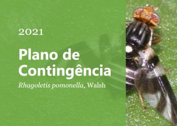 plano contigencia