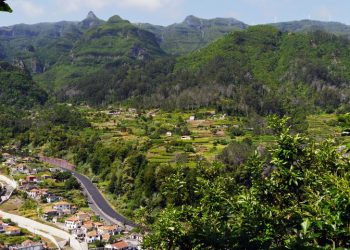floresta