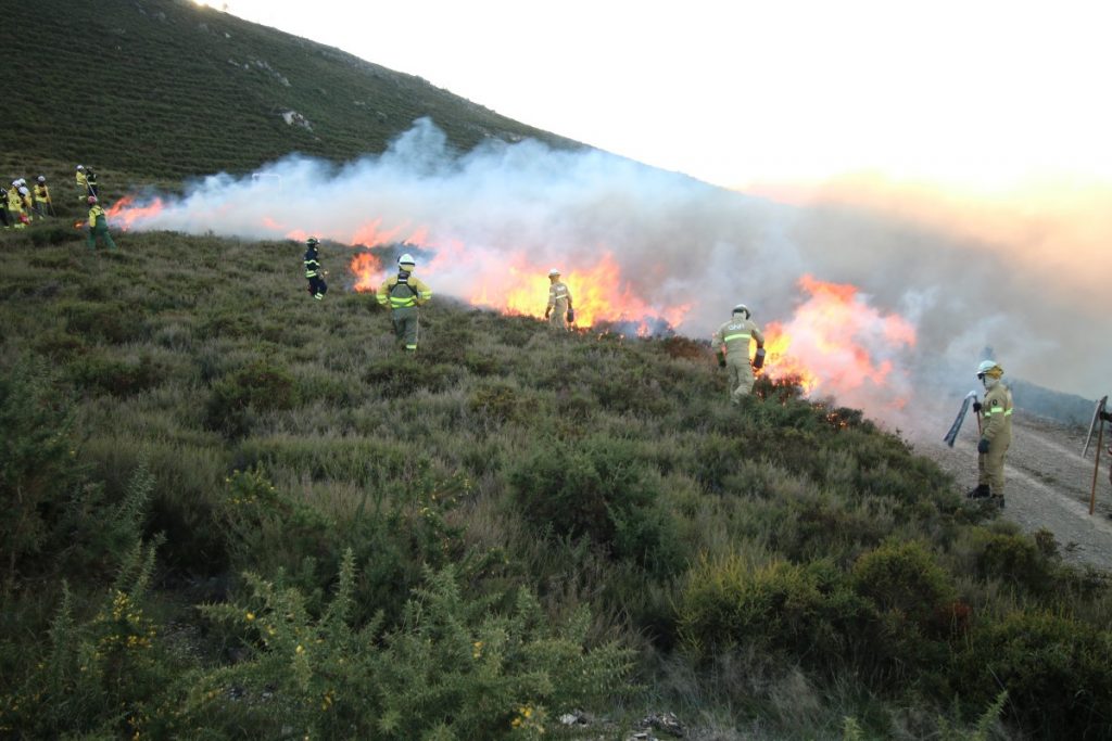 fogo controlado