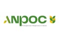 anpoc