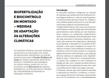 montado iniav