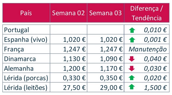 bolsa porco