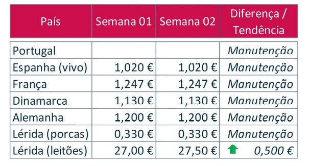 bolsa porco