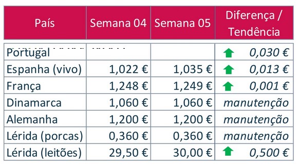 bolsa