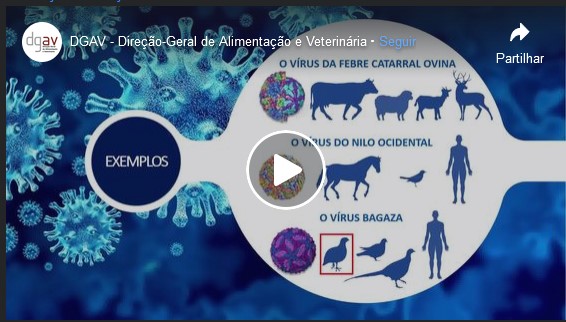 dgav virus zoonoticos