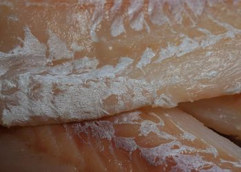 filet peixe bacalhau