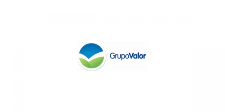 grupo valor